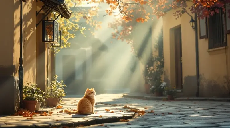 街角的猫 第18集